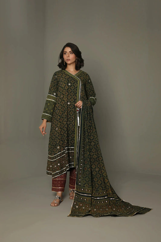 Dhaani 3 piece tailored set - StudioTehseen